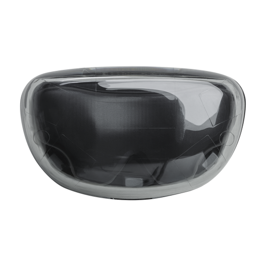 JBL Tune Flex Ghost Edition - Black Ghost - True wireless Noise Cancelling earbuds - Top